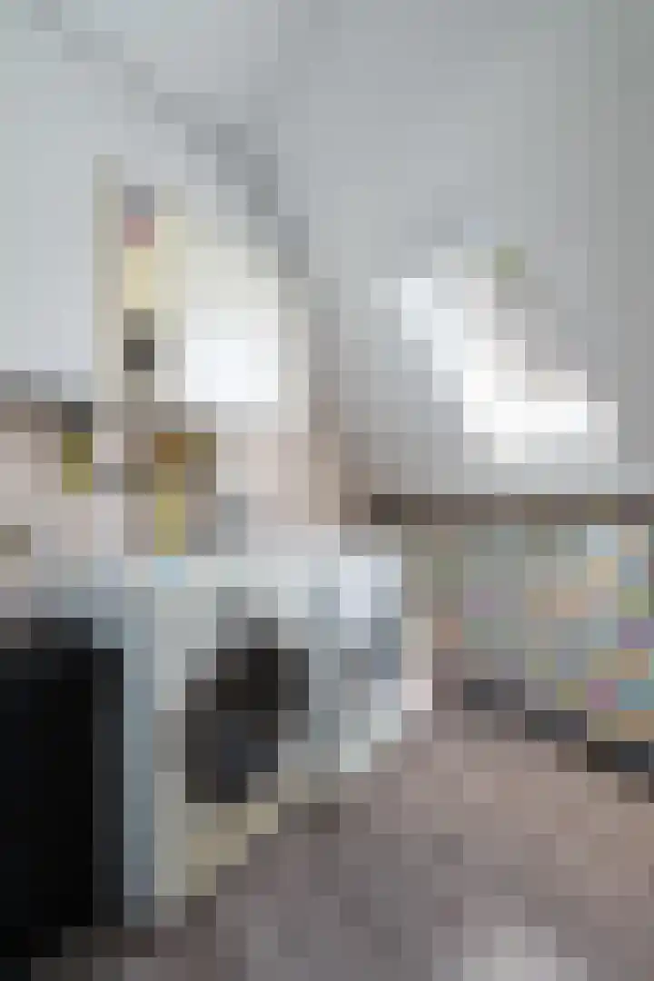 Pimpelmeeshof 23 Weert thumbnail 27
