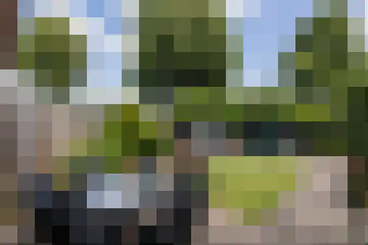 Pimpelmeeshof 23 Weert thumbnail 28