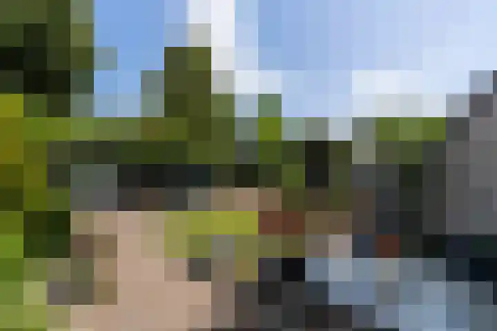 Pimpelmeeshof 23 Weert thumbnail 29