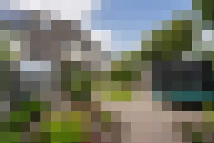 Pimpelmeeshof 23 Weert thumbnail 30