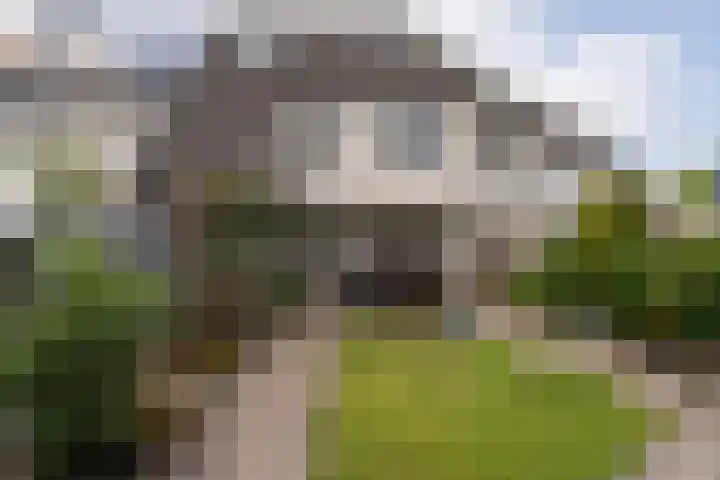 Pimpelmeeshof 23 Weert thumbnail 31