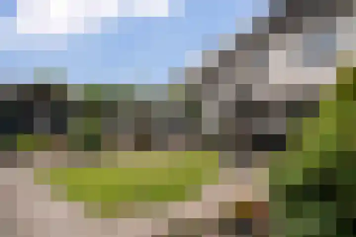 Pimpelmeeshof 23 Weert thumbnail 32