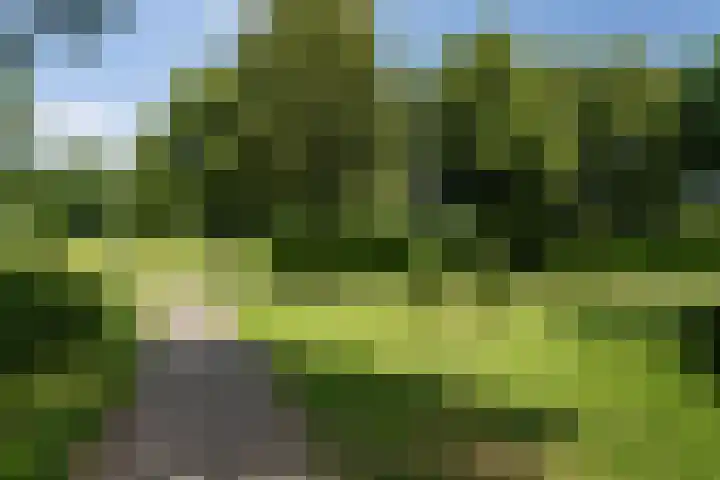 Pimpelmeeshof 23 Weert thumbnail 33