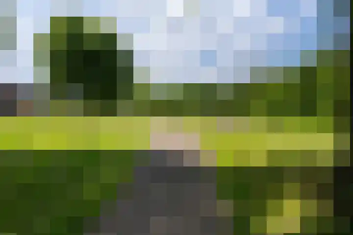 Pimpelmeeshof 23 Weert thumbnail 34