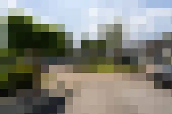Pimpelmeeshof 23 Weert thumbnail 35