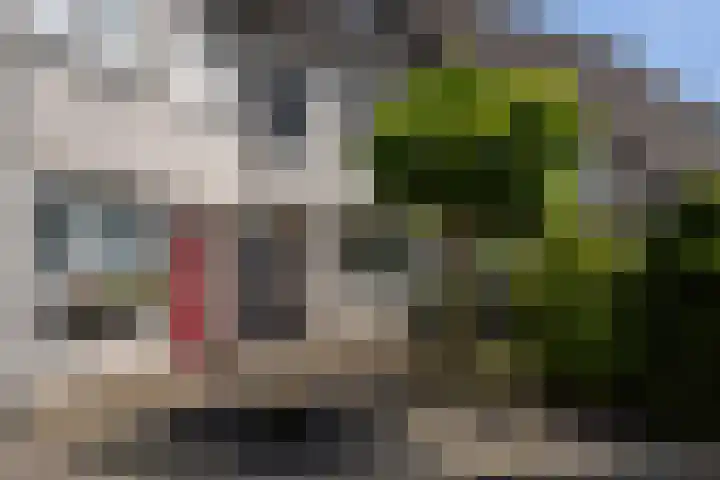 Pimpelmeeshof 23 Weert thumbnail 6