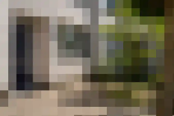 Pimpelmeeshof 23 Weert thumbnail 7