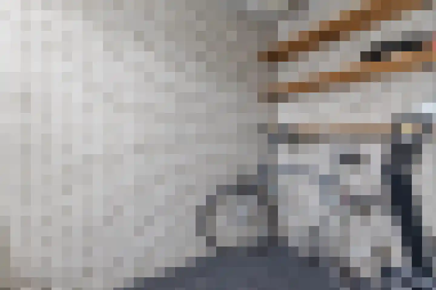 Pimpelmeesstraat 1 Alkmaar thumbnail 15