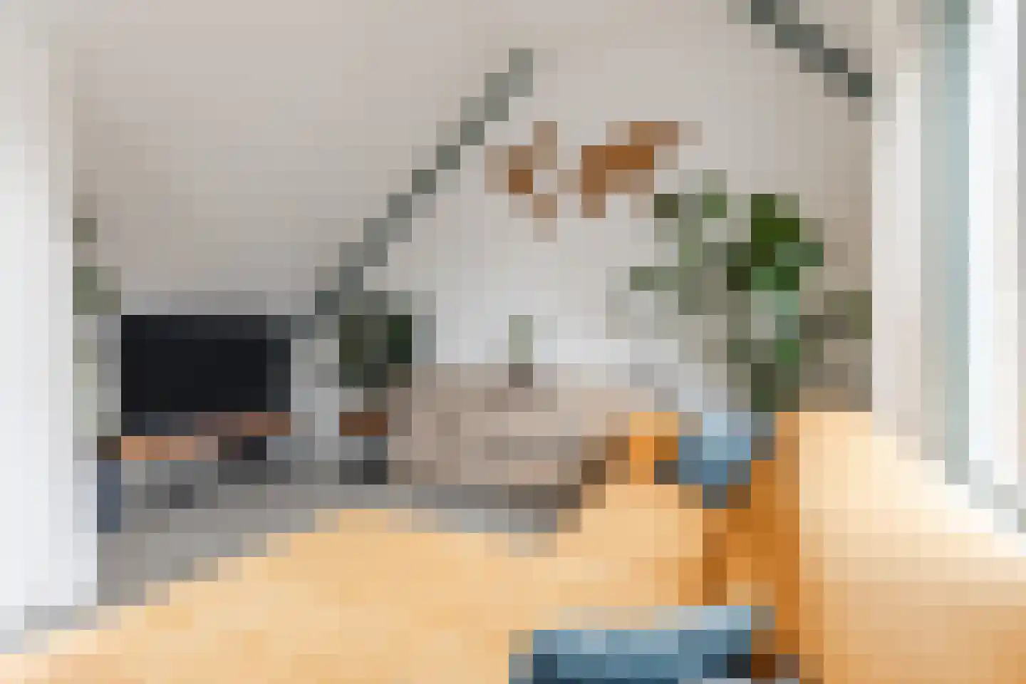Pimpelmeesstraat 1 Alkmaar thumbnail 17