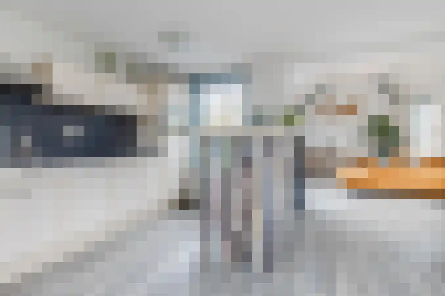Pimpelmeesstraat 1 Alkmaar thumbnail 22