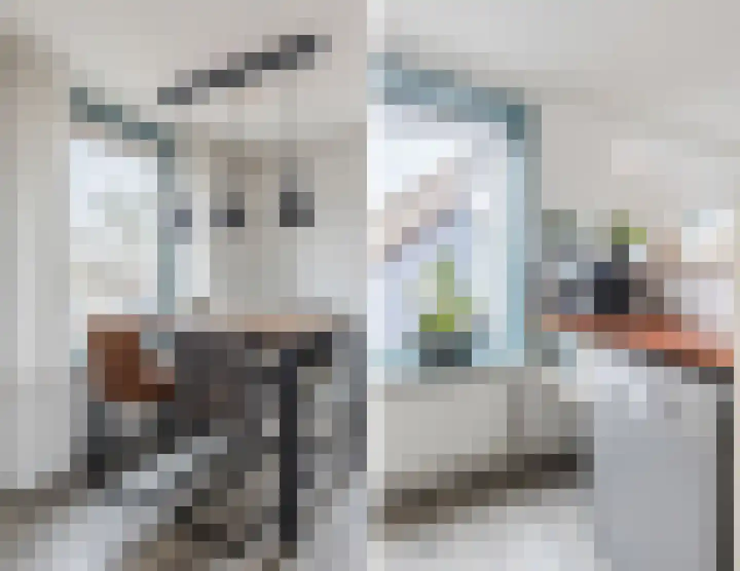 Pimpelmeesstraat 1 Alkmaar thumbnail 30