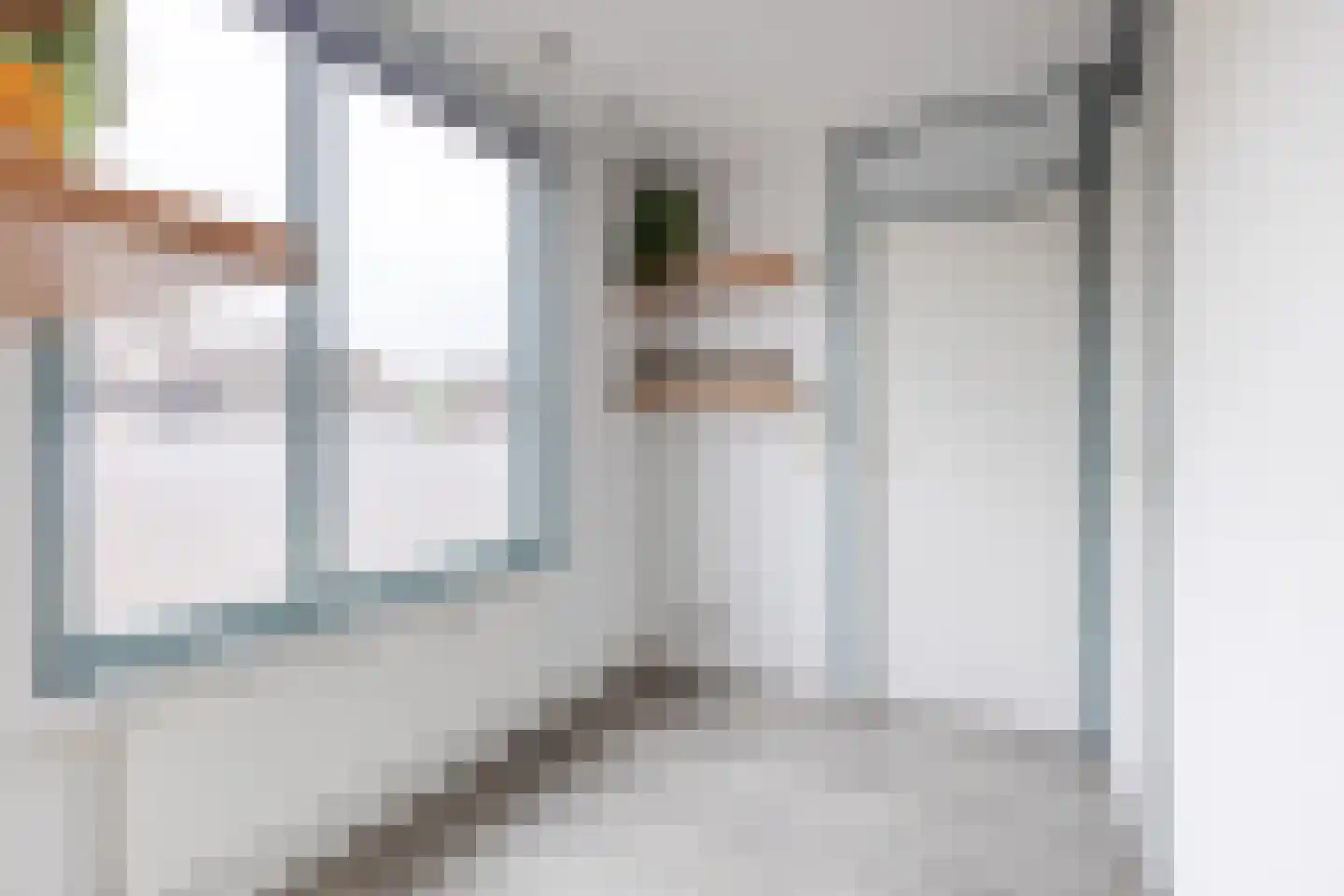 Pimpelmeesstraat 1 Alkmaar thumbnail 31
