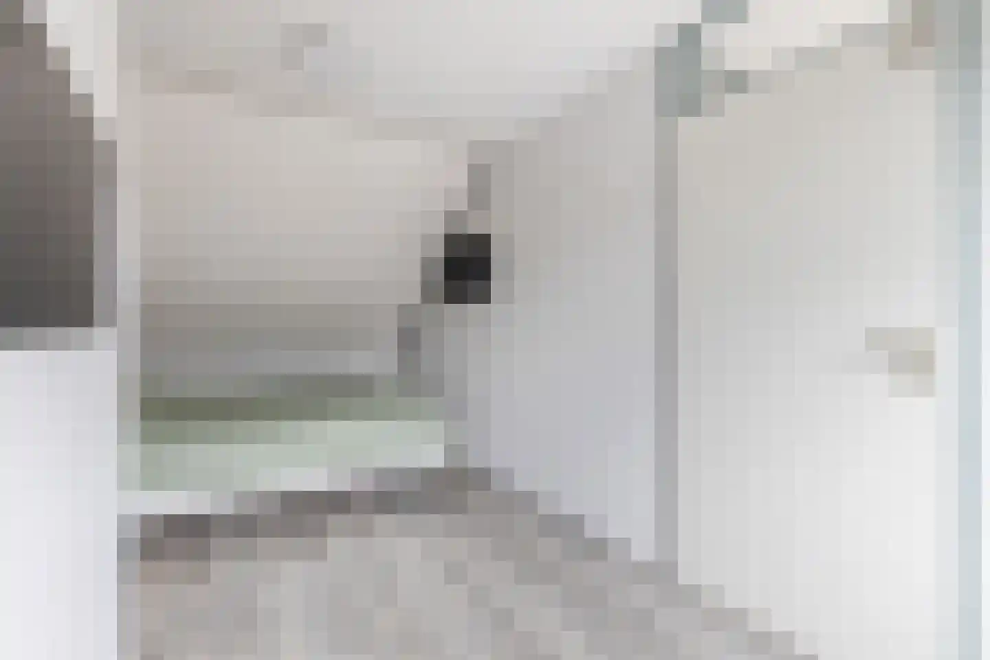 Pimpelmeesstraat 1 Alkmaar thumbnail 34