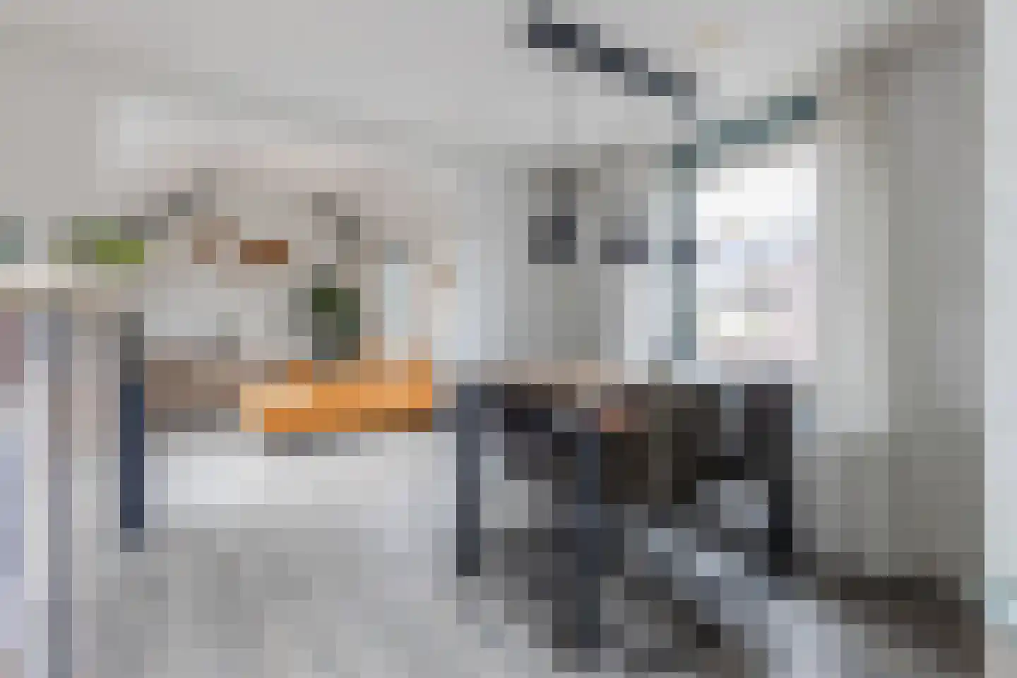 Pimpelmeesstraat 1 Alkmaar thumbnail 4