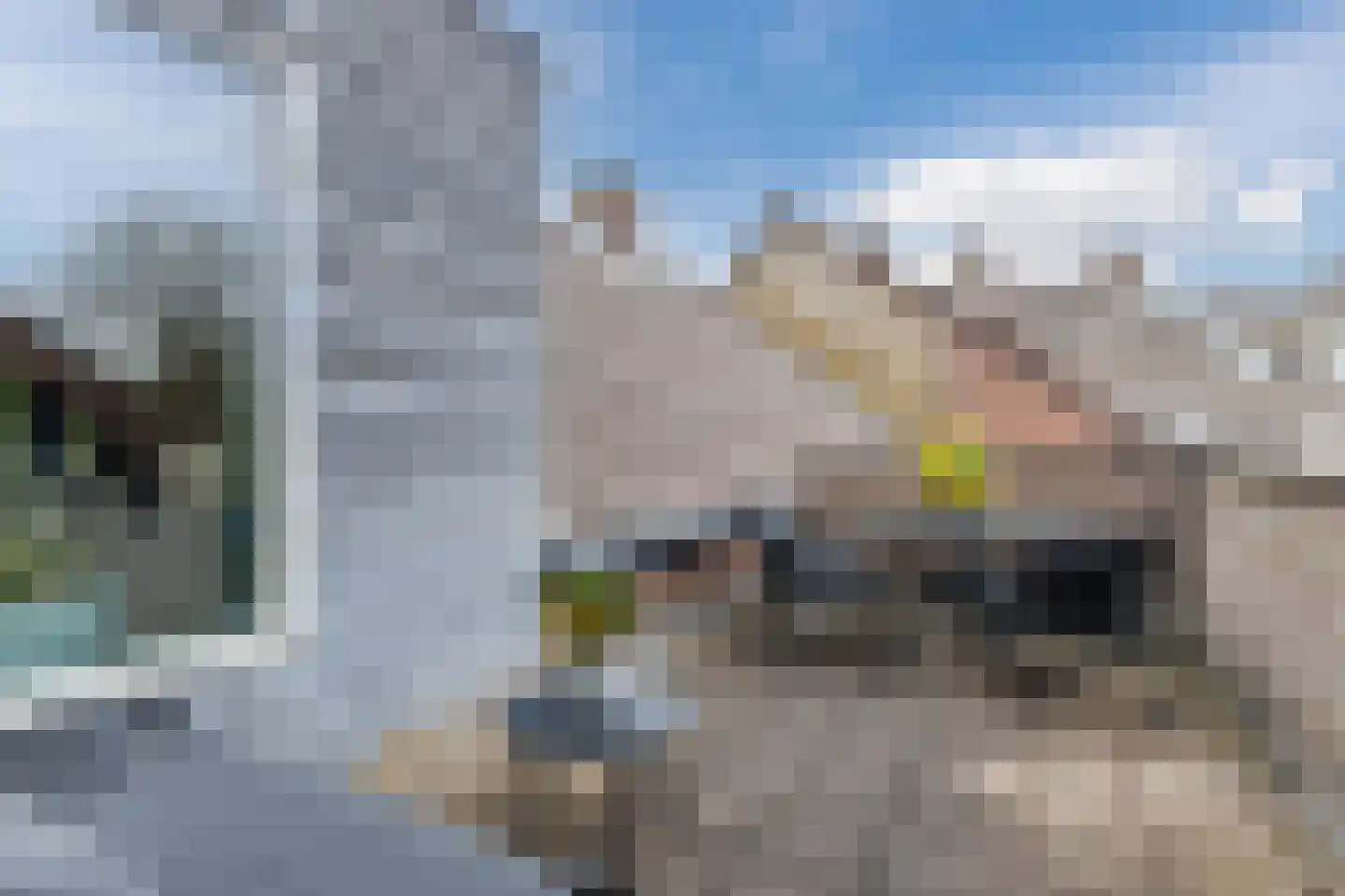 Pimpelmeesstraat 1 Alkmaar thumbnail 44