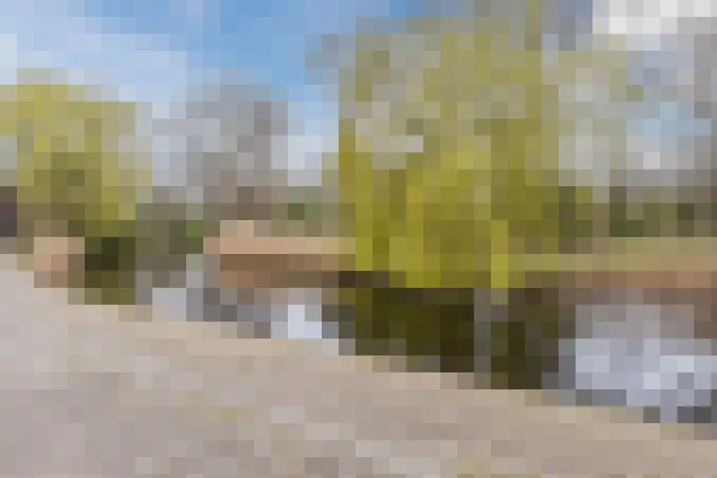 Pimpelmeesstraat 1 Alkmaar thumbnail 50