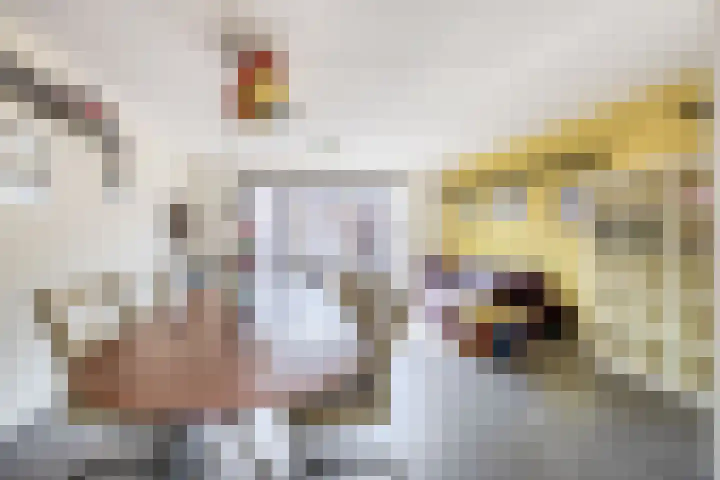 Pimpelmeesstraat 10 Sterksel thumbnail 10