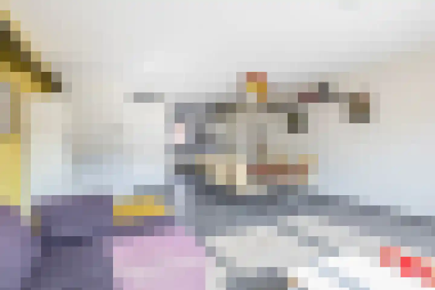 Pimpelmeesstraat 10 Sterksel thumbnail 14