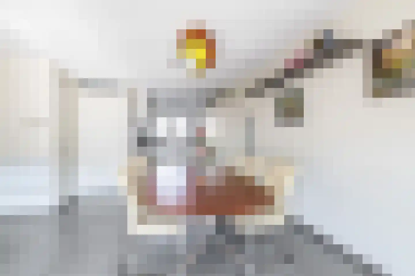 Pimpelmeesstraat 10 Sterksel thumbnail 16