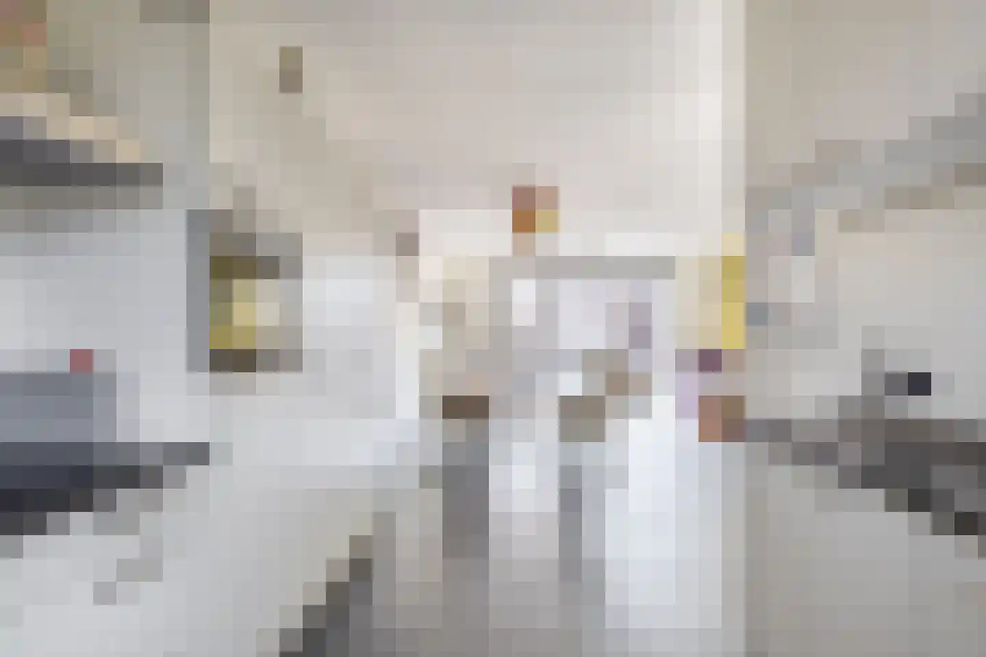 Pimpelmeesstraat 10 Sterksel thumbnail 19
