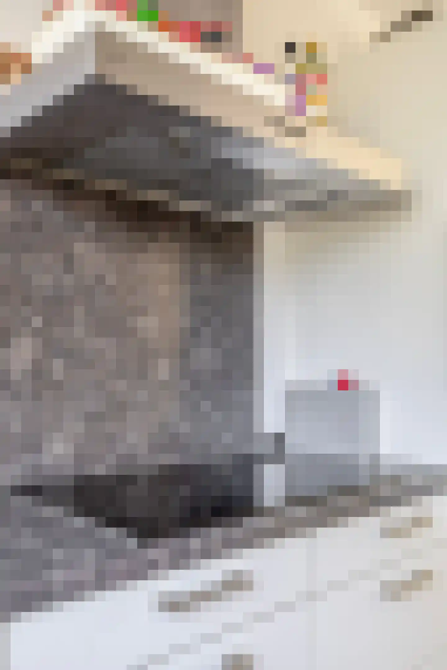 Pimpelmeesstraat 10 Sterksel thumbnail 20