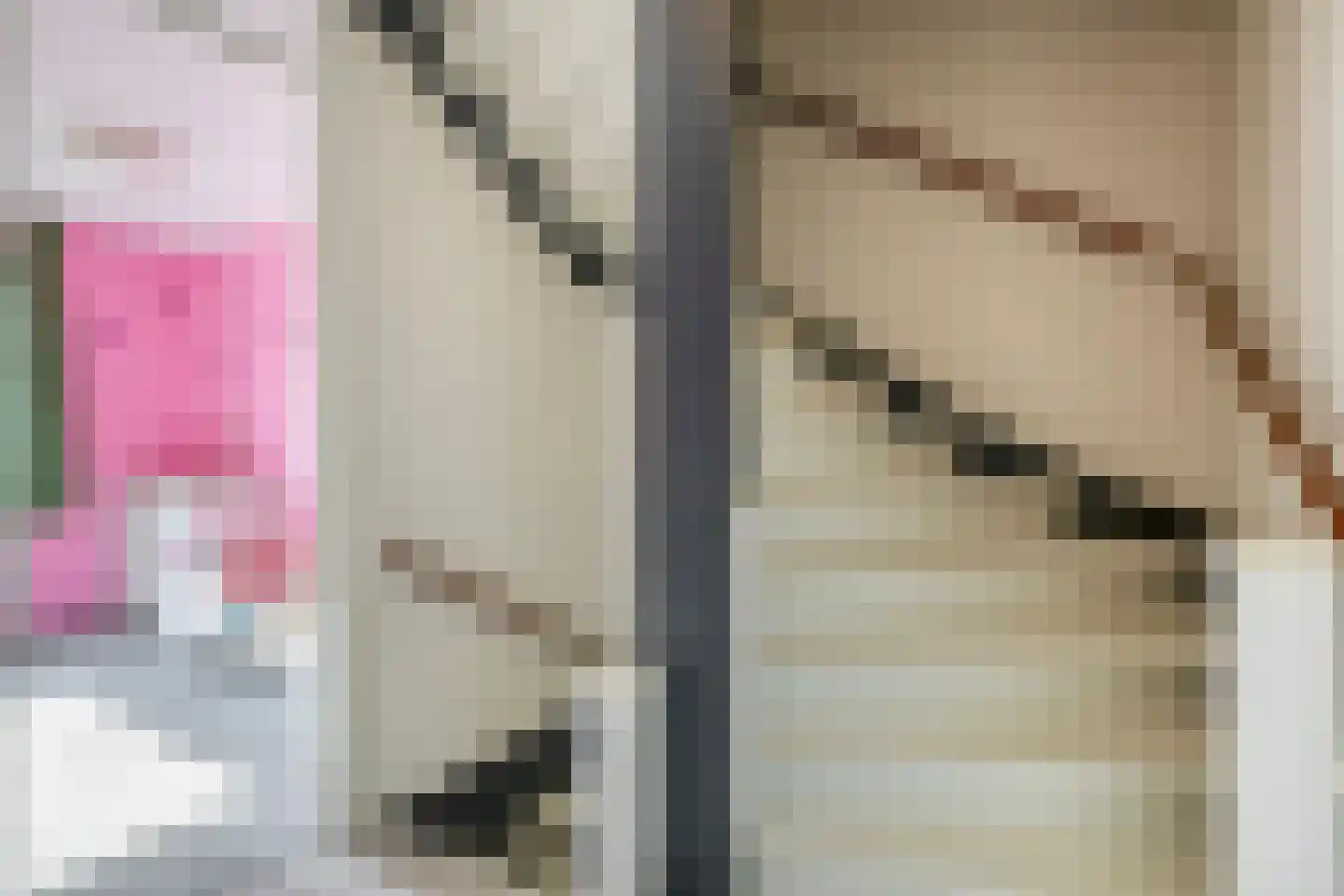 Pimpelmeesstraat 10 Sterksel thumbnail 22