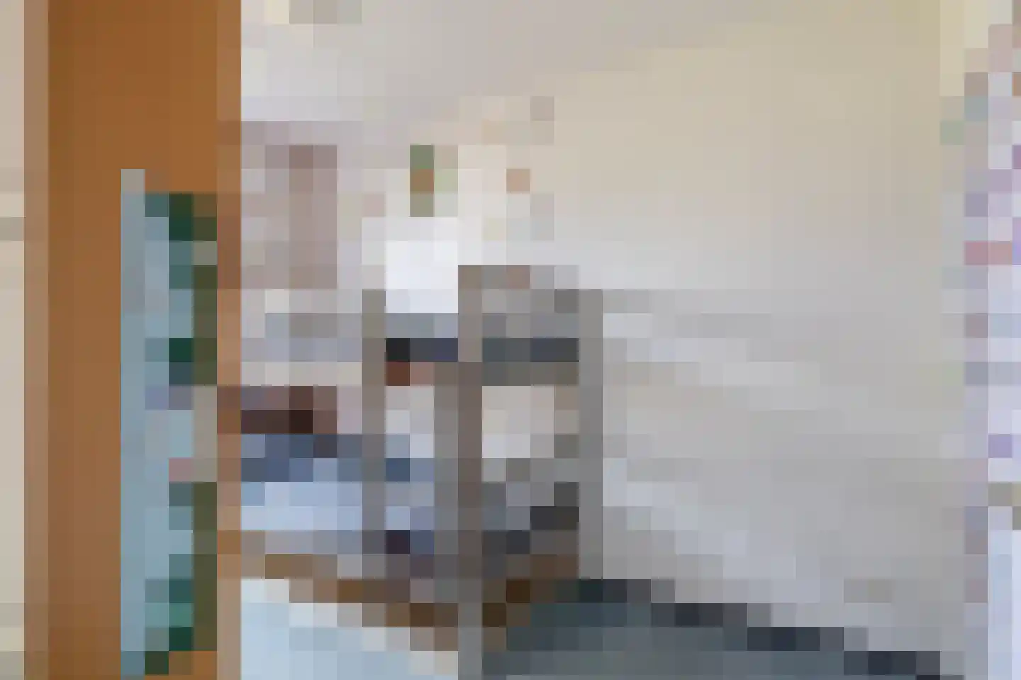 Pimpelmeesstraat 10 Sterksel thumbnail 27