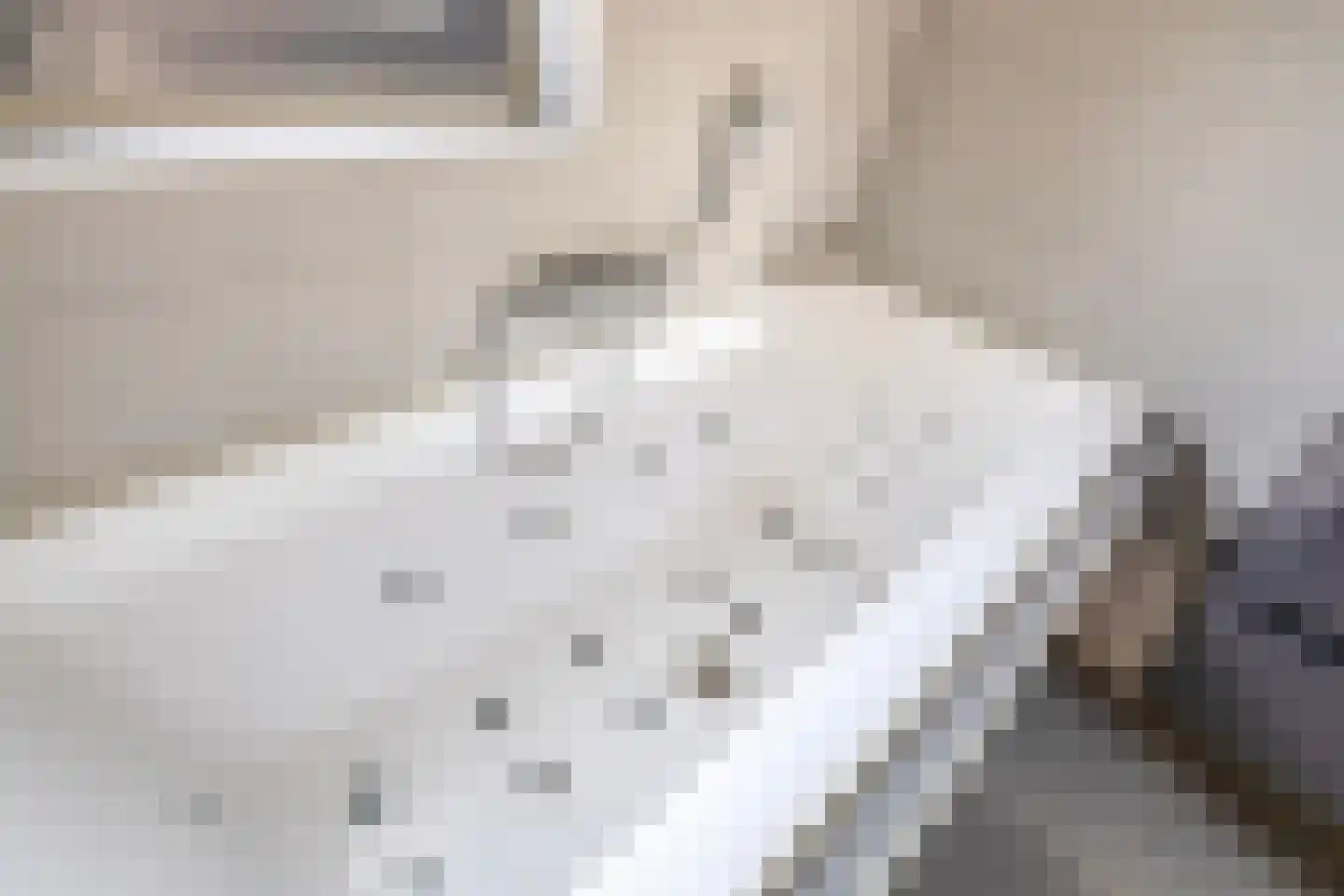 Pimpelmeesstraat 10 Sterksel thumbnail 32