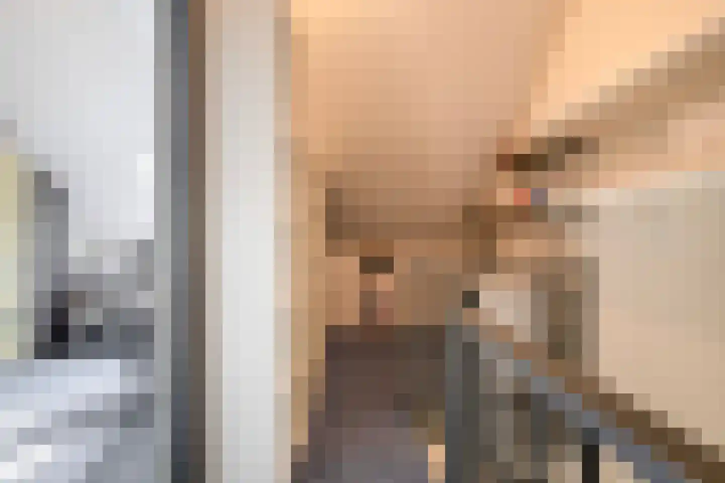 Pimpelmeesstraat 10 Sterksel thumbnail 35