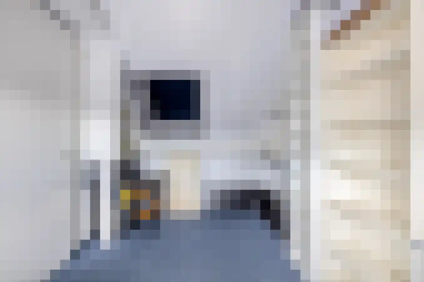 Pimpelmeesstraat 10 Sterksel thumbnail 37