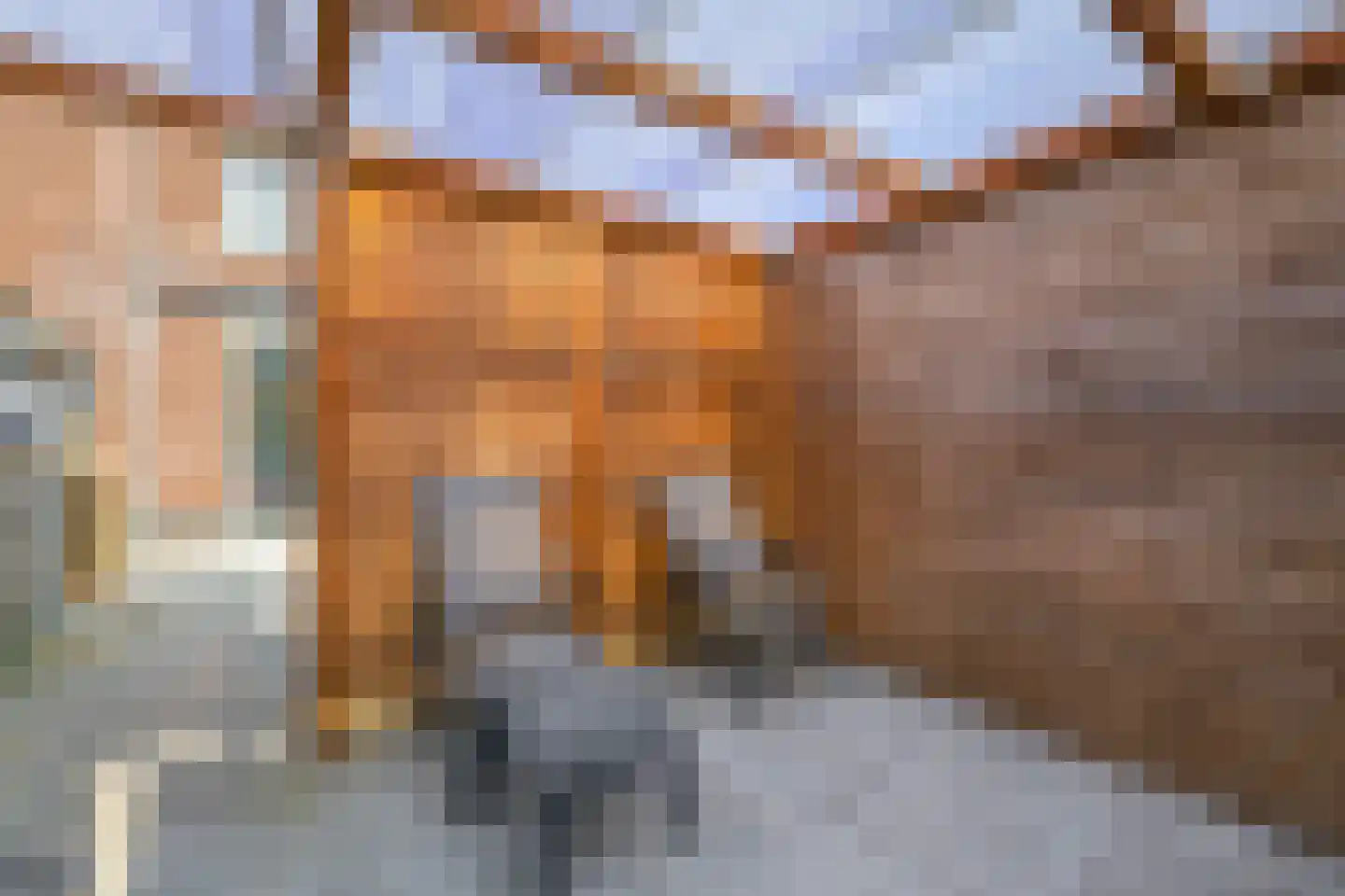 Pimpelmeesstraat 10 Sterksel thumbnail 45