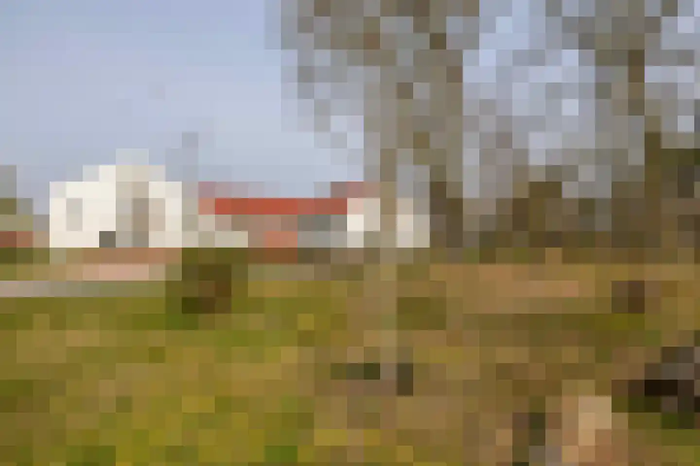 Pimpelmeesstraat 10 Sterksel thumbnail 49