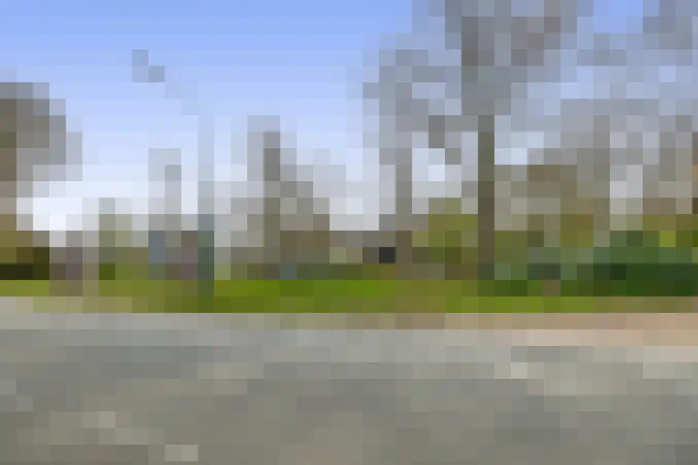 Pimpelmeesstraat 10 Sterksel thumbnail 51