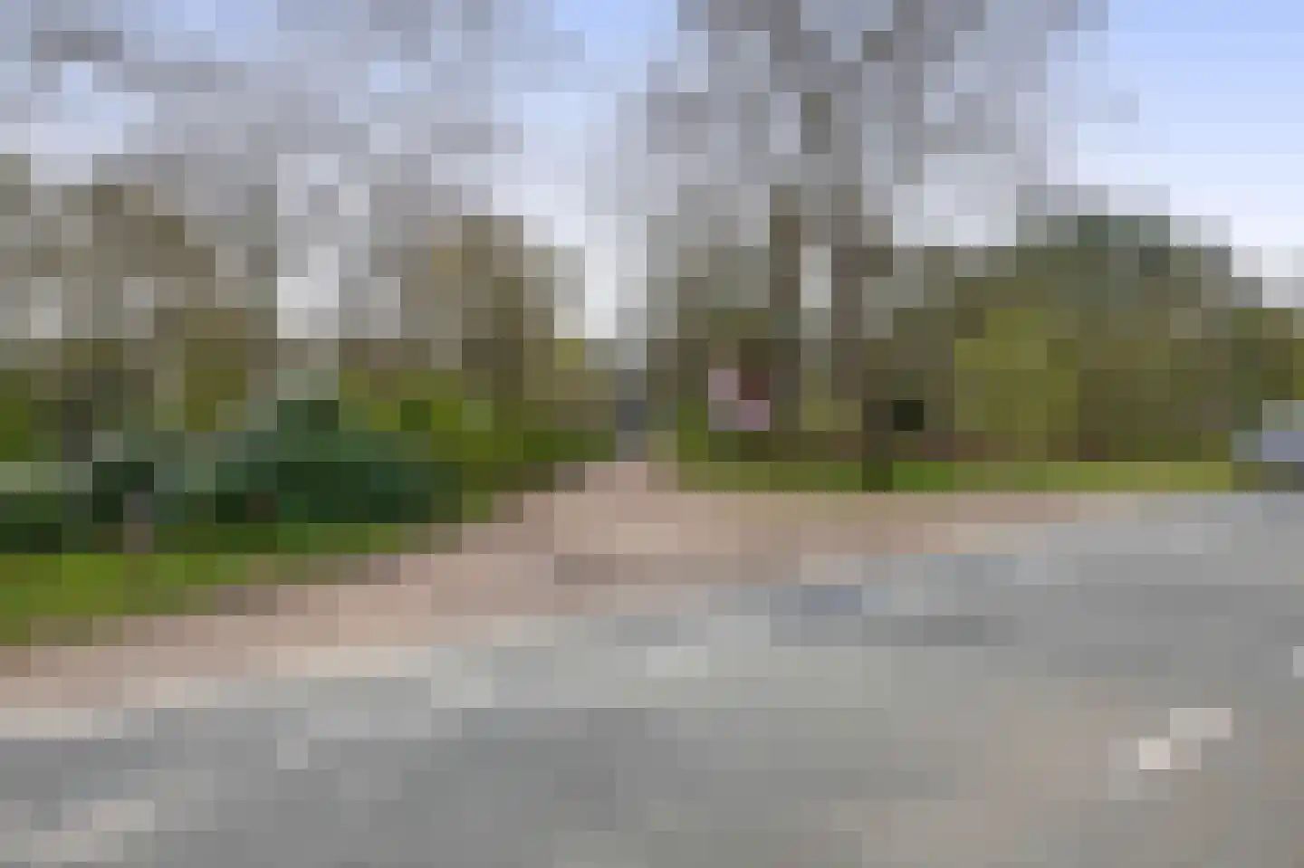 Pimpelmeesstraat 10 Sterksel thumbnail 52