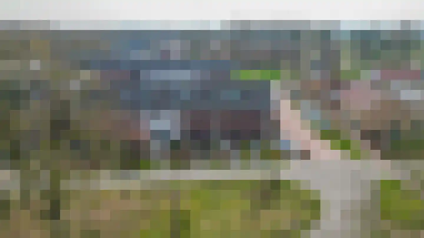 Pimpelmeesstraat 10 Sterksel thumbnail 53