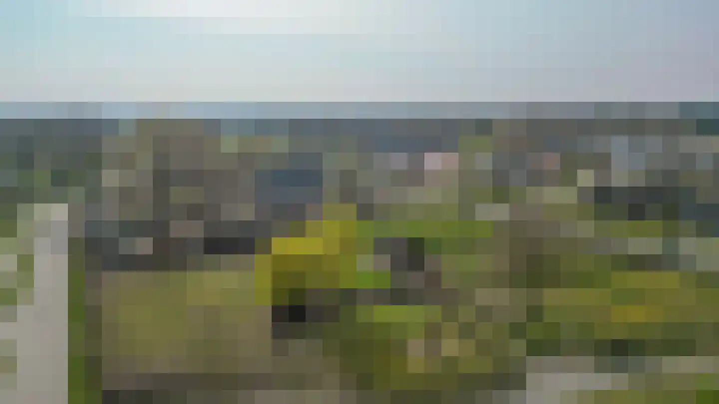 Pimpelmeesstraat 10 Sterksel thumbnail 54