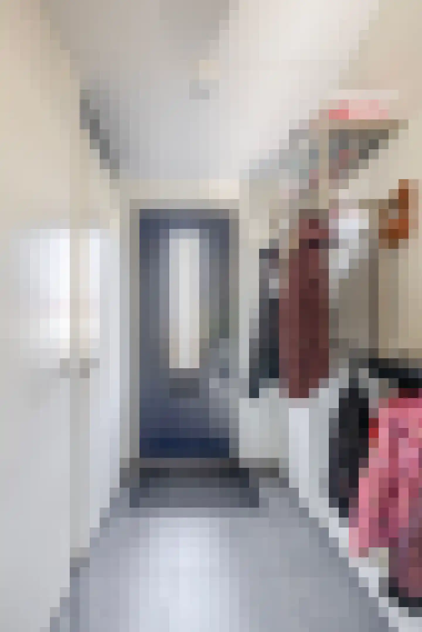 Pimpelmeesstraat 10 Sterksel thumbnail 8