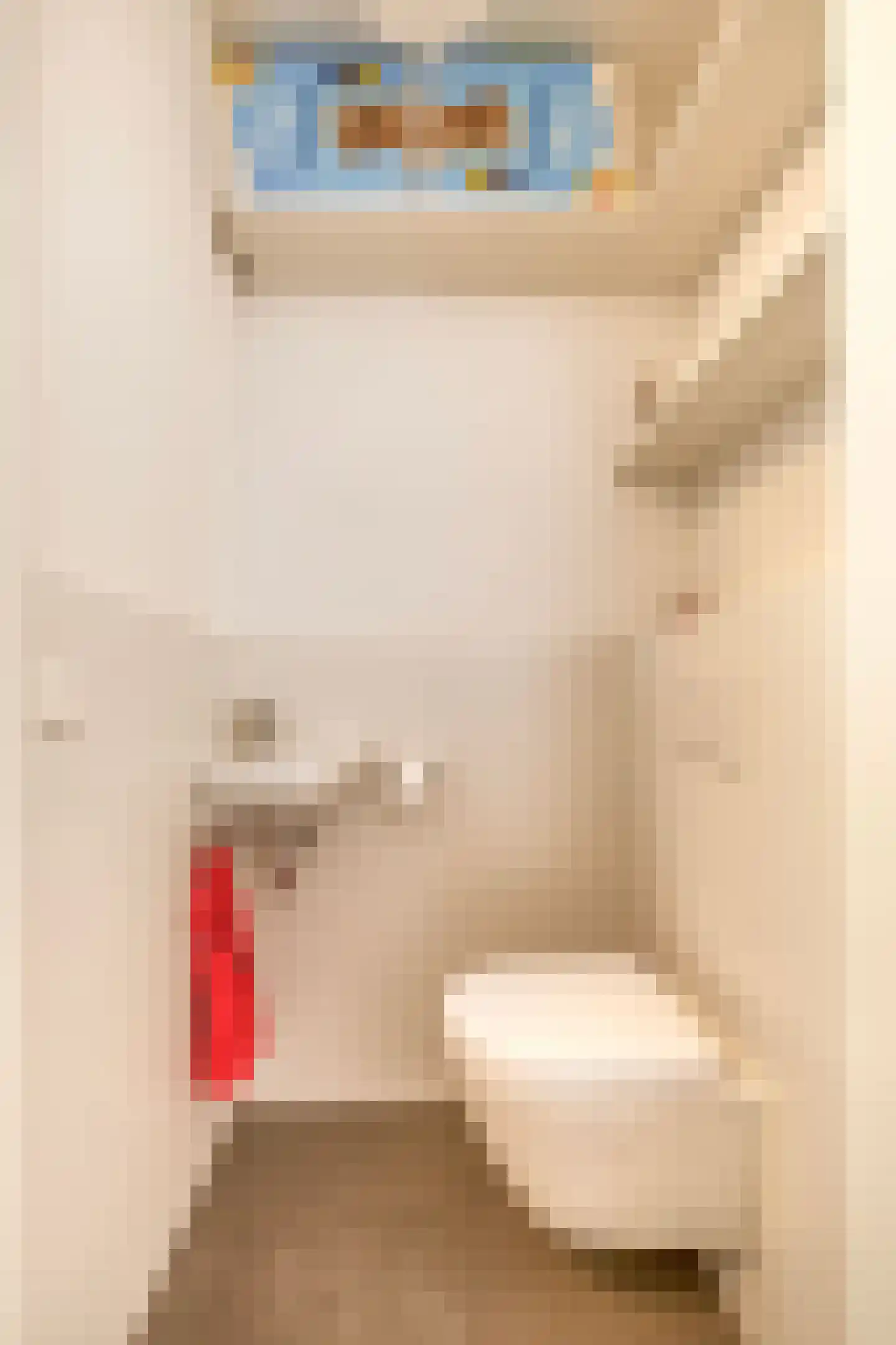 Pimpelmeesstraat 10 Sterksel thumbnail 9
