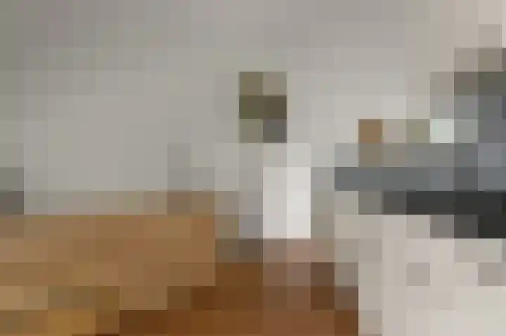 Pimpelmeesstraat 15 Alkmaar thumbnail 10