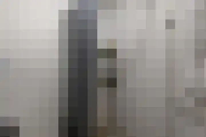 Pimpelmeesstraat 15 Alkmaar thumbnail 17