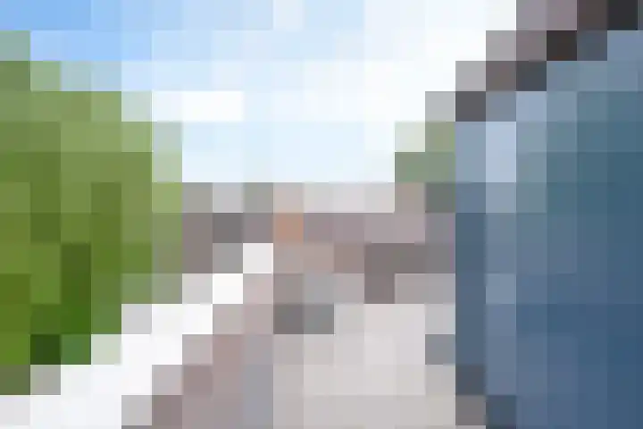 Pimpelmeesstraat 15 Alkmaar thumbnail 18