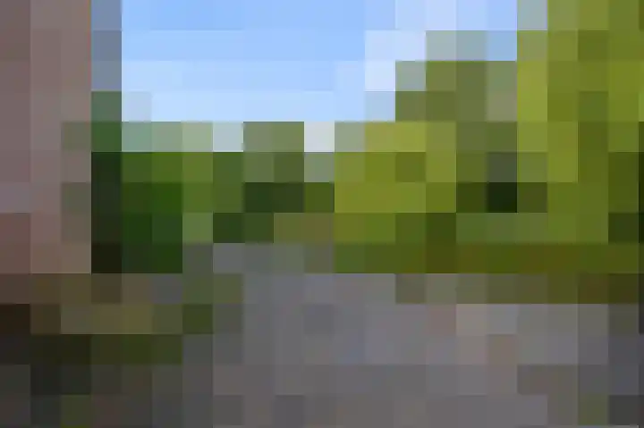 Pimpelmeesstraat 15 Alkmaar thumbnail 20