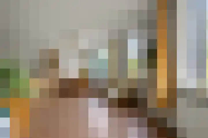 Pimpelmeesstraat 15 Alkmaar thumbnail 4