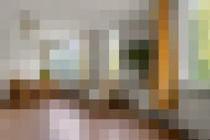 Pimpelmeesstraat 15 Alkmaar thumbnail 5