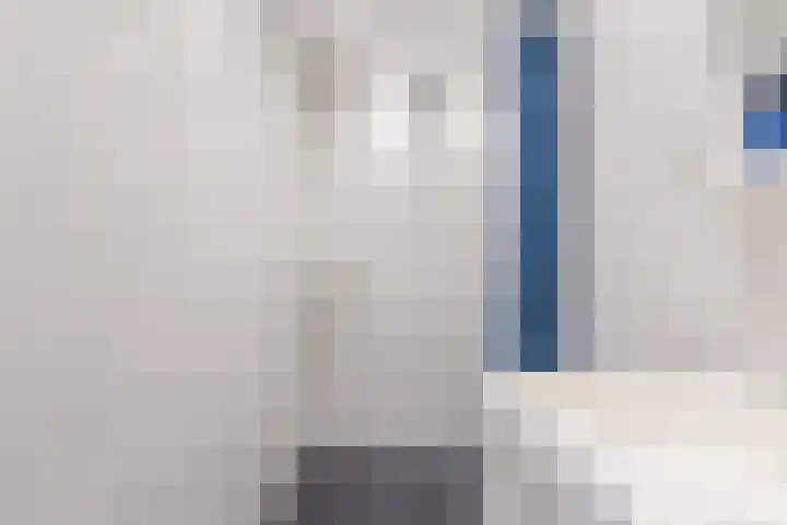 Pimpelmeesstraat 26 Alkmaar thumbnail 18
