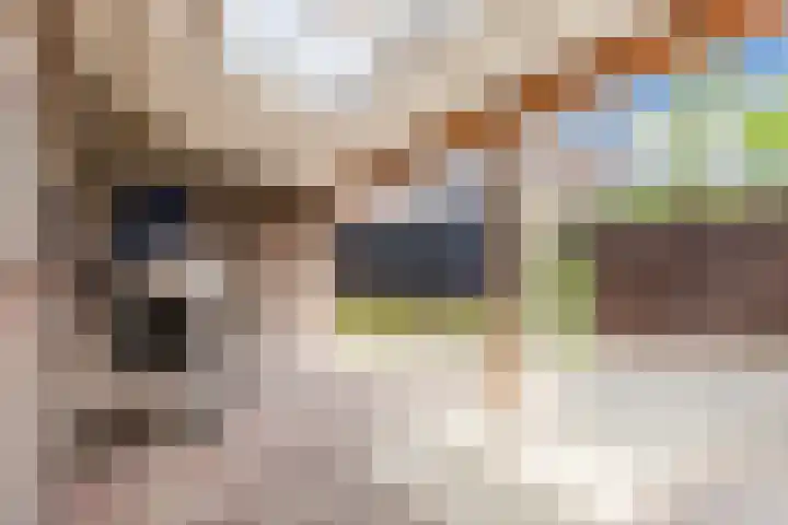 Pimpelmeesstraat 26 Alkmaar thumbnail 25