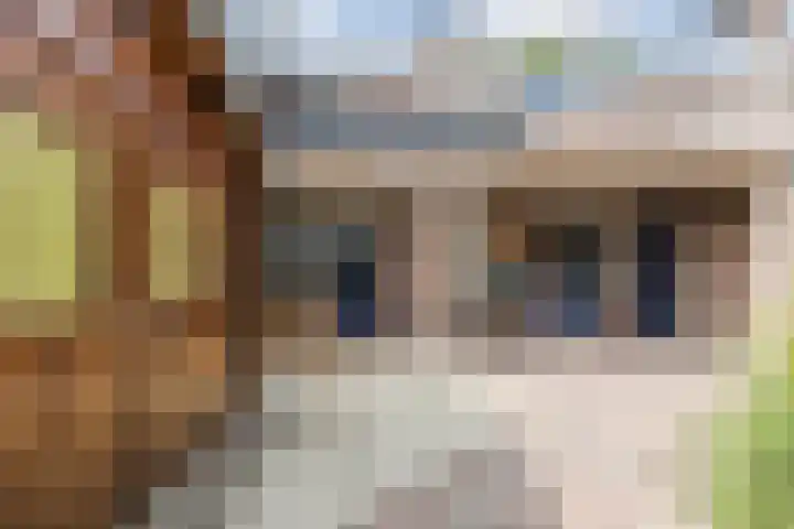 Pimpelmeesstraat 26 Alkmaar thumbnail 30