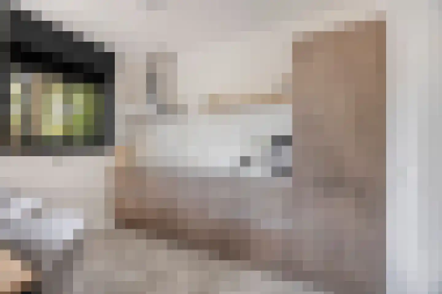 Pimpelmeesstraat 3 Sterksel thumbnail 11