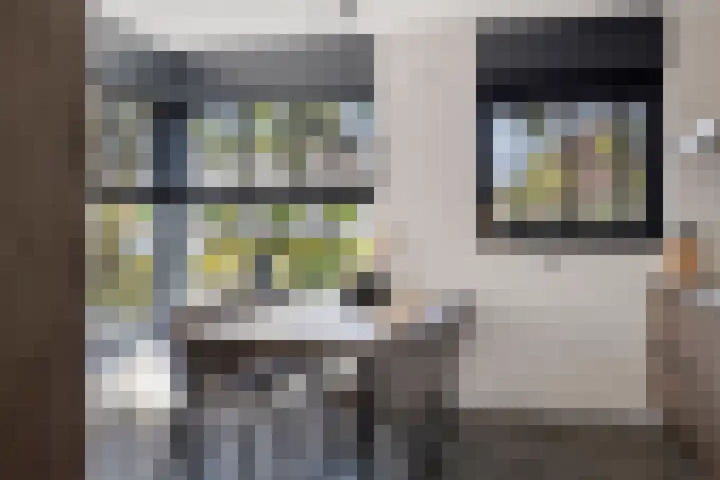 Pimpelmeesstraat 3 Sterksel thumbnail 12