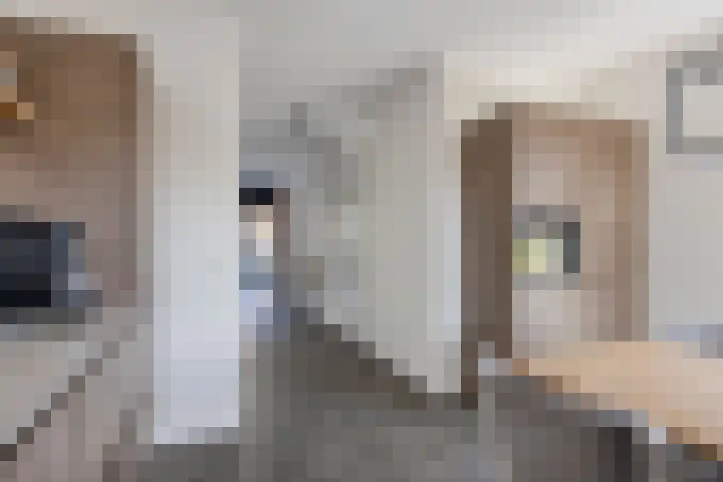 Pimpelmeesstraat 3 Sterksel thumbnail 14